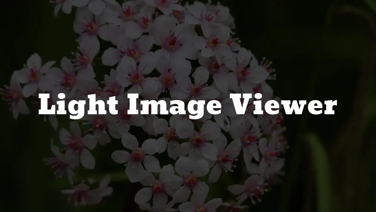 Light Image Viewer